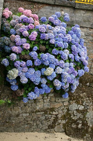 Bretagne (107).JPG